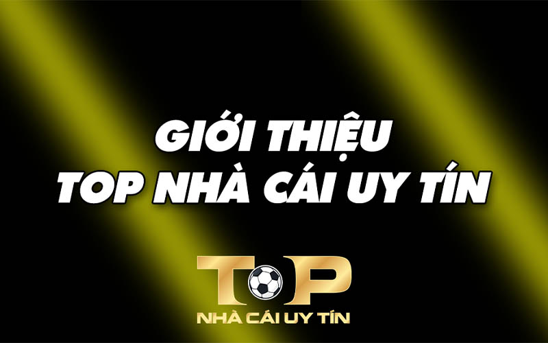 Giới thiệu Topnhacaiuytin